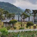 청솔수석박물관 이미지