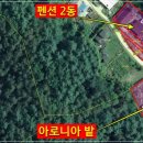 현재펜션민박 이미지