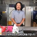 토마토세탁 | [내돈내산]세제 추천합니다. 세탁예술가 부활세제... 블루리턴... 후기(feat.토마토 살사 소스 지우기)