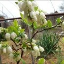 송강농장 이미지