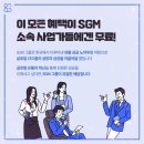 인셀덤 글로벌
