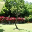 장미별장 이미지