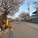 구항면 행정복지센터 | 홍성 백월산(일월산)(구항면행정복지센터 코스)