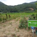 양남농장 이미지