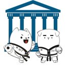 고려대호태권도