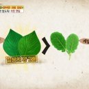 배탈 자주 나시는 분들 주목 '삭힌 깻잎' 이미지