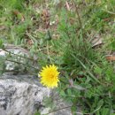 반여시장 이미지