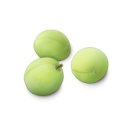 엔와이 모터스 이미지