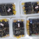 홍쌤 꼬마김밥 이미지