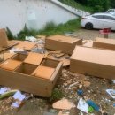 홍익대학교사범대학부속고등학교 이미지