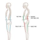 오리궁뎅이 이미지