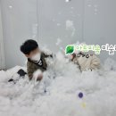아트피움미술학원 이미지