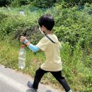 꼬마코끼리가는길 이미지