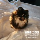동해를그리다 이미지