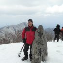 2013. 3. 2 산림청 100명산 99번째산 울릉도 성인봉 이미지