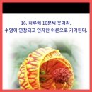 [2022년 10월 16일(음:9월 21일. 일출 6시 40분.일몰17시 56분]김해에서 '김해 분청도자기 축제" 가 열린다지요 이미지