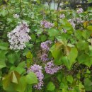 불당하늘공인중개사사무소 이미지