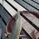 여수낚시터 이미지