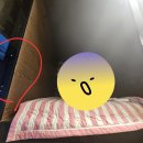 솔게스트하우스 부산파티점 | 솔게스트하우스 부산파티점 후기