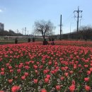 낙동강관리본부 화명생태공원 4 이미지