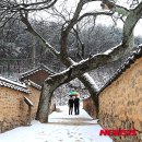 ▶자연과 생활 (2015/03월/1째주) 이미지