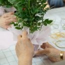 송하카센타 이미지