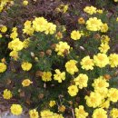 율목종합사회복지관 이미지