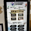 영덕농장 | 영덕 목재문화체험장 포항근교 23개월 아기랑 갈만한 곳 목재재놀이체험실 후기