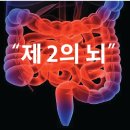 크린팜대학약국 이미지