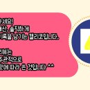 1974윤 티스토리