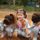 우리집첫째 이미지