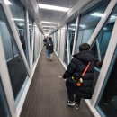 1336 | 대한항공 A320 - neo 탑승 후기 - 제주도 KE1336