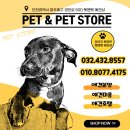 펫앤펫 인천점 강아지분양의 모든것 이미지