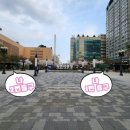 평촌광장약국 이미지