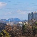 대신행정사사무소 네이버블로그