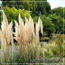 김광석길 쌈지공원 | [대구 걷기 좋은길] 아이와 함께 재미있게 걸을 수 있어 너무 좋아요/걸어서 김광석 길까지..