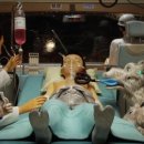 개 좋은 세상 이미지