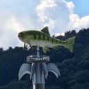 분도 흑염소탕 이미지