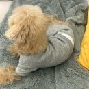 무인62 | 12월 둘째 주🌟
