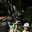 🐳❤️⛰️깊은 산골 뚝딱 뚝딱 건축가를 찾아보아요! 거미와 거미줄 놀이! - 매봉산 숲놀이⛰️❤️🐳 이미지