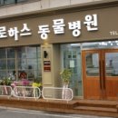 대덕 동물병원 이미지