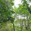 봉양3길 이미지