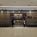 서우 | 성수회식 송년회 중식맛집 서우룸다이닝 솔직 후기