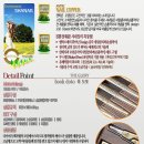 샤네일 Daum카페