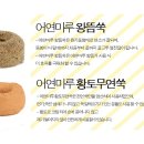 어연마루