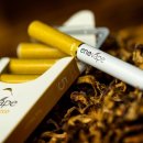 뉴월드전자 이미지