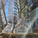 야탑1동 | [장미마을 동부코오롱아파트] 경기도 성남 분당 야탑역 초역세권 아파트 임장 후기