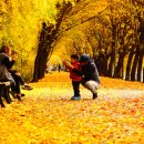 청파로(동측) 노컷뉴스