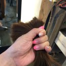 유경2호 이미지