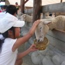 세현목장 이미지